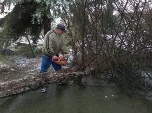 wp_20161202_010-jpg-1