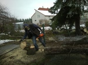 wp_20161202_011-jpg-1